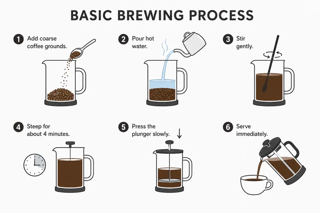 basic brewing process of french press 